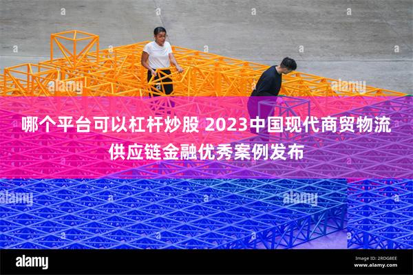 哪个平台可以杠杆炒股 2023中国现代商贸物流供应链金融优秀案例发布