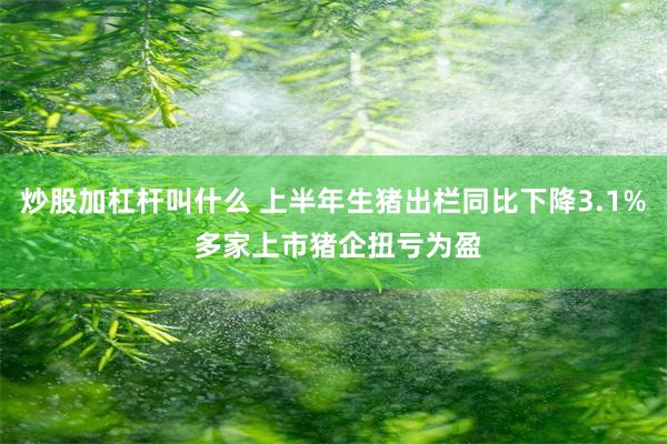 炒股加杠杆叫什么 上半年生猪出栏同比下降3.1% 多家上市猪企扭亏为盈