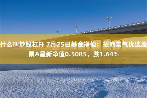 什么叫炒股杠杆 7月25日基金净值：招商景气优选股票A最新净值0.5085，跌1.64%