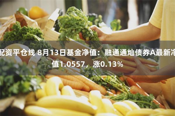 配资平仓线 8月13日基金净值：融通通灿债券A最新净值1.0557，涨0.13%