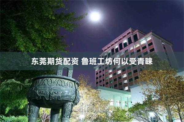 东莞期货配资 鲁班工坊何以受青睐