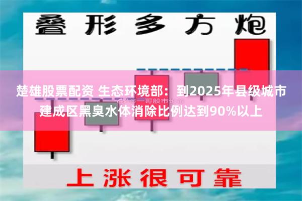 楚雄股票配资 生态环境部：到2025年县级城市建成区黑臭水体消除比例达到90%以上