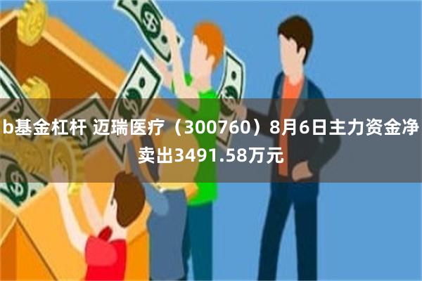 b基金杠杆 迈瑞医疗（300760）8月6日主力资金净卖出3491.58万元