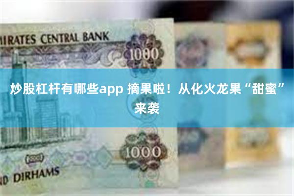 炒股杠杆有哪些app 摘果啦！从化火龙果“甜蜜”来袭