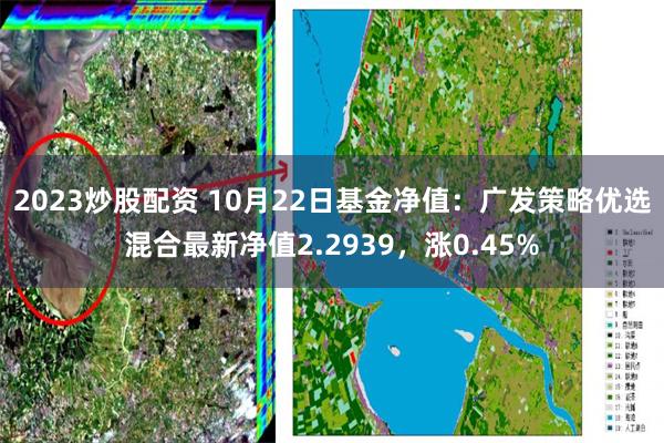 2023炒股配资 10月22日基金净值：广发策略优选混合最新净值2.2939，涨0.45%