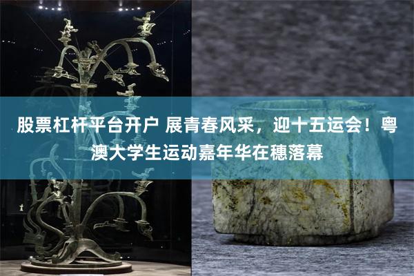 股票杠杆平台开户 展青春风采，迎十五运会！粤澳大学生运动嘉年华在穗落幕