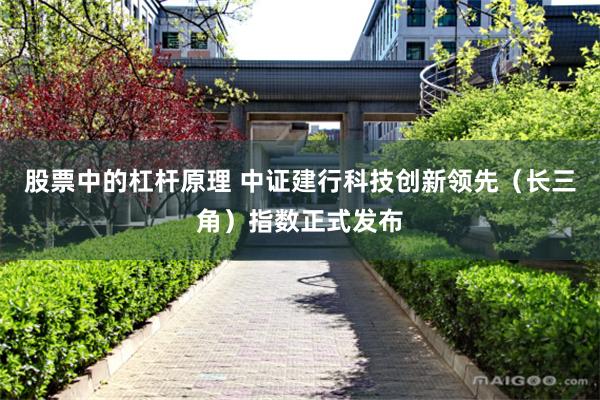 股票中的杠杆原理 中证建行科技创新领先（长三角）指数正式发布