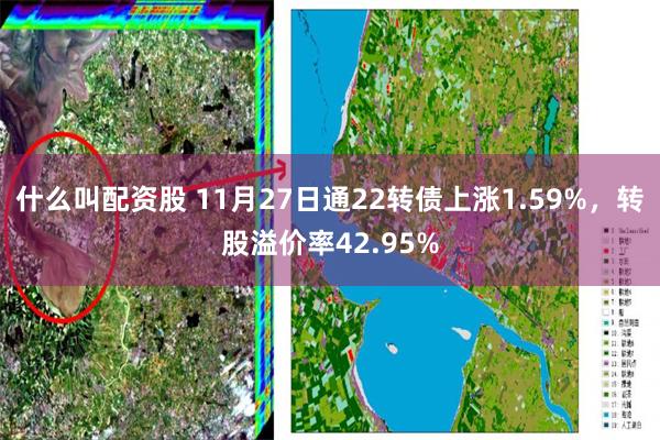 什么叫配资股 11月27日通22转债上涨1.59%，转股溢价率42.95%