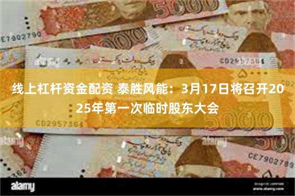 线上杠杆资金配资 泰胜风能：3月17日将召开2025年第一次临时股东大会